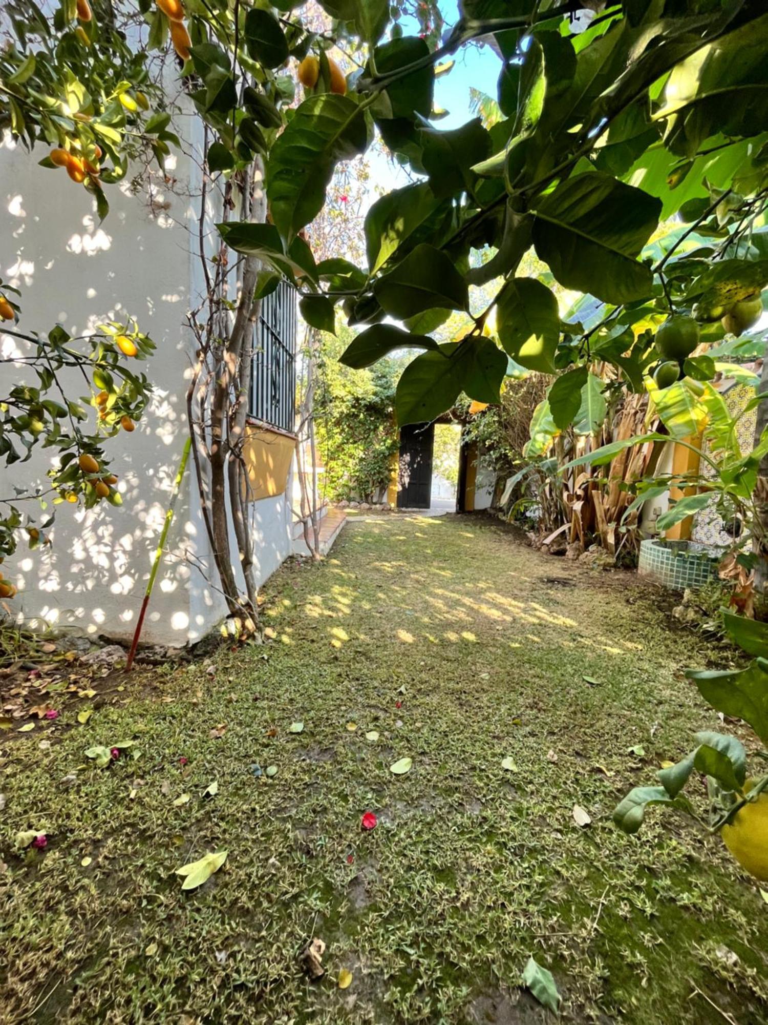 Gmc Turistics - Casa Mina Villa Marbella Eksteriør bilde